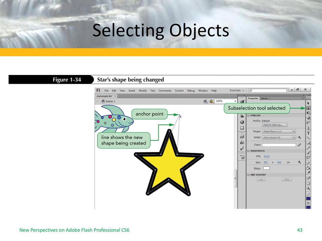 Getting Started With Adobe Flash Professional Cs6 Ppt Download