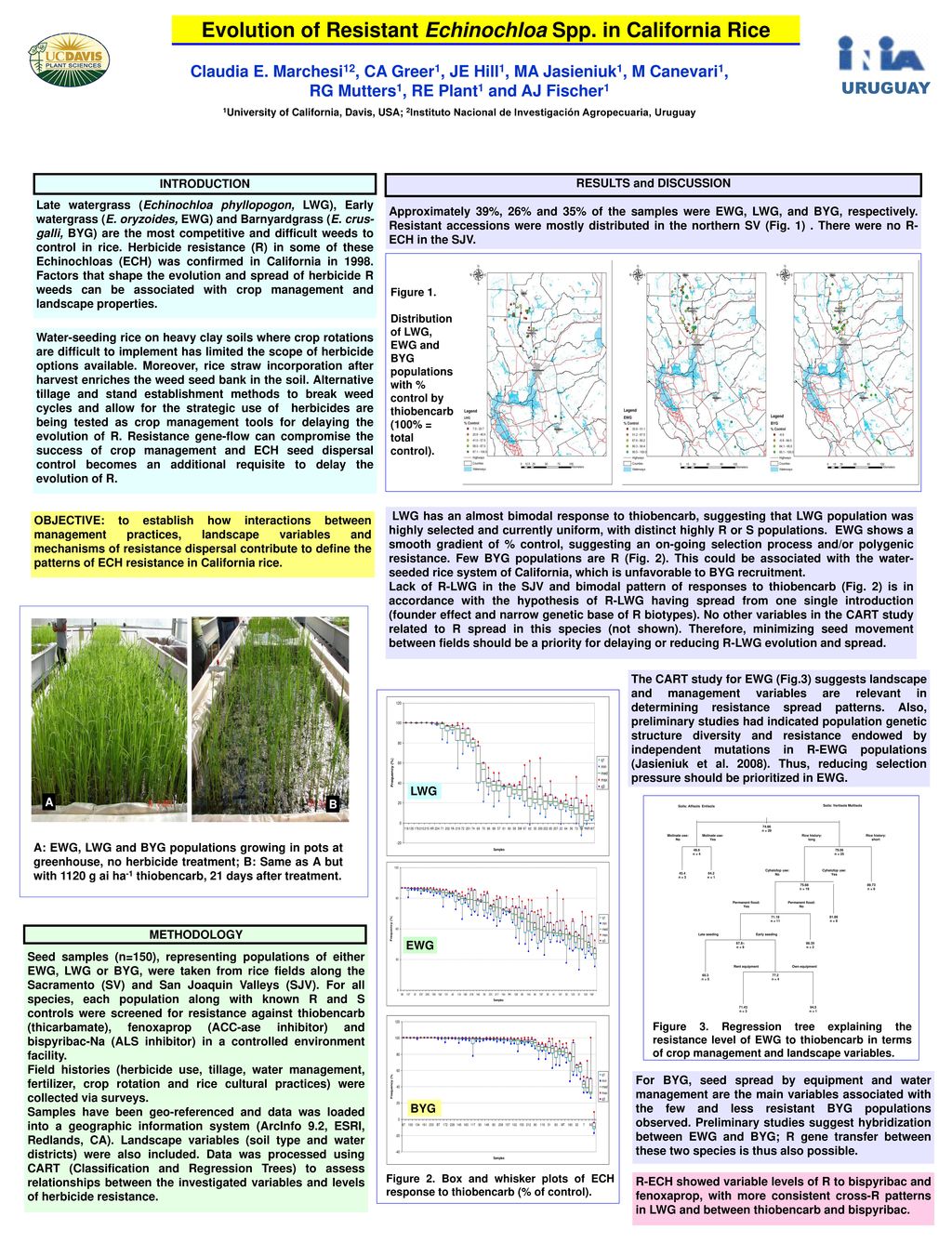 Evolution of Resistant Echinochloa Spp. in California Rice - ppt download