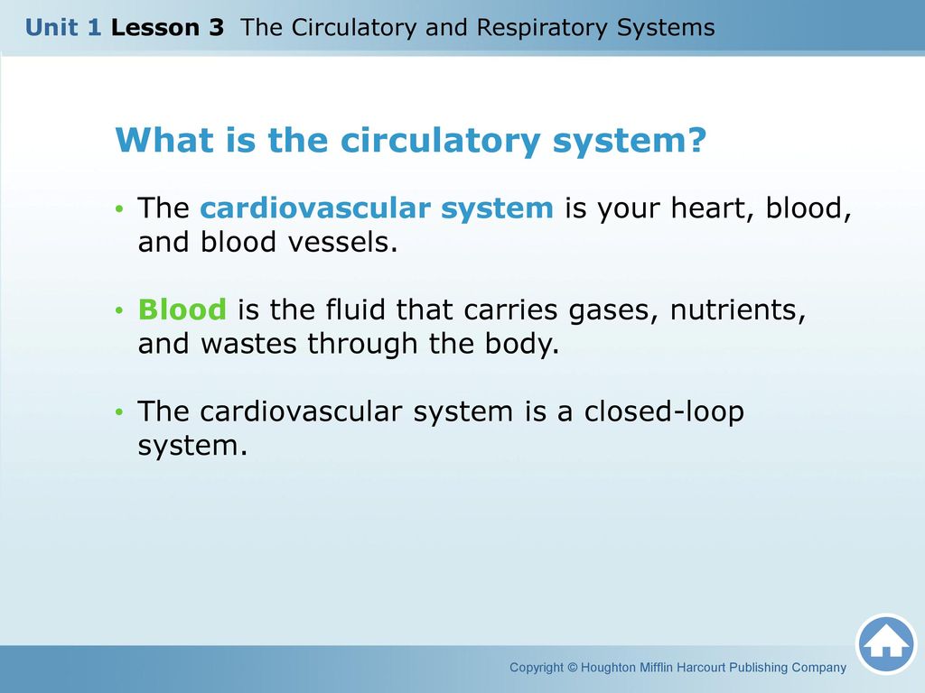 UNIT 1: The Respiratory System