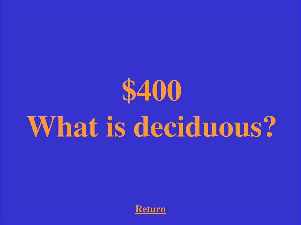 Return $400 What is deciduous
