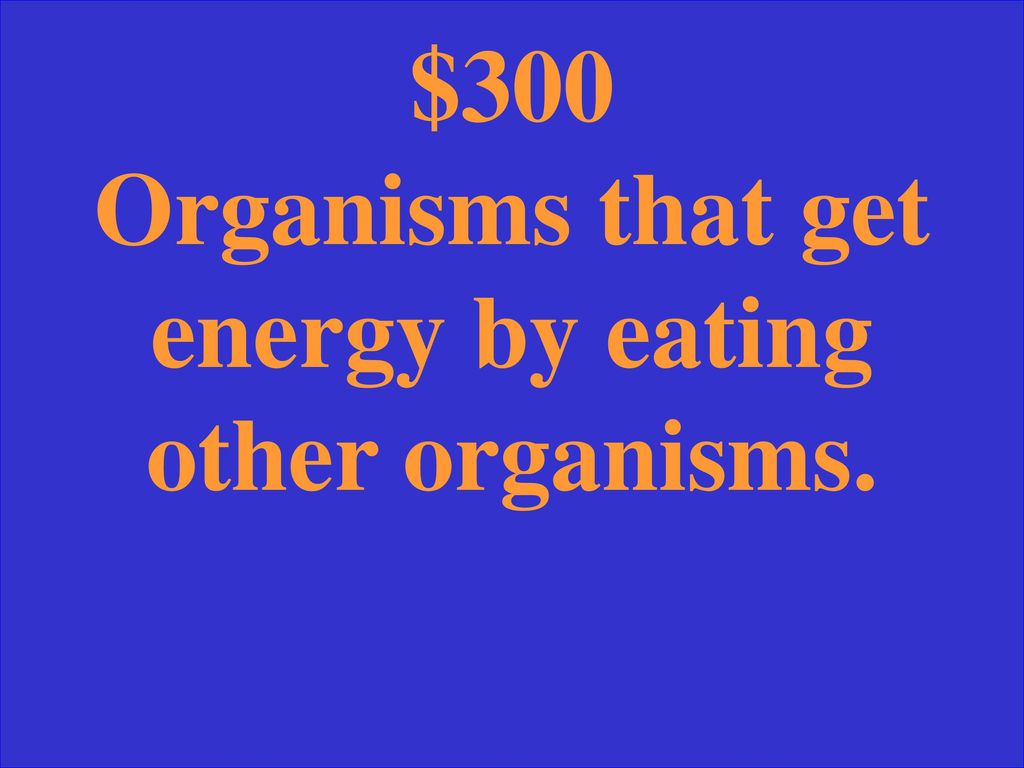 $300 Organisms that get energy by eating other organisms.
