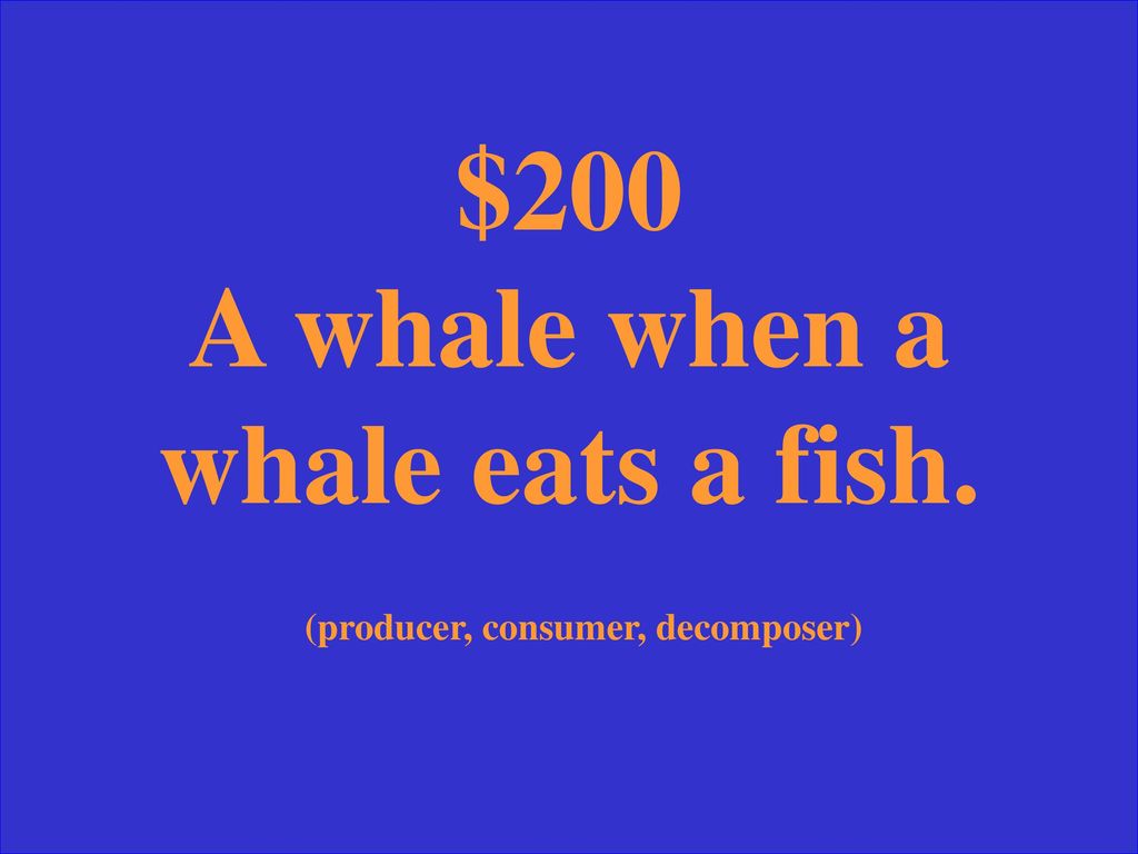 $200 A whale when a whale eats a fish. (producer, consumer, decomposer)