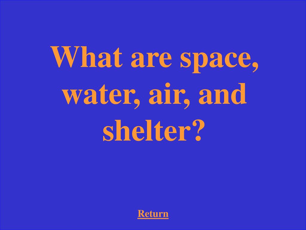What are space, water, air, and shelter