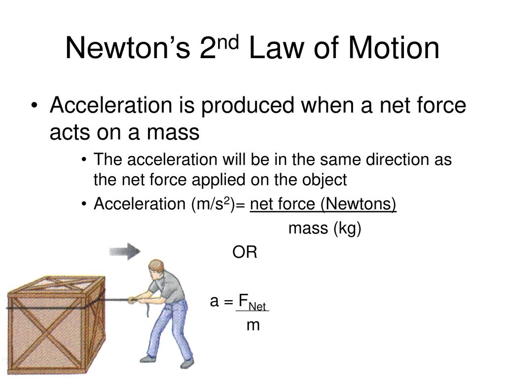 Motion & Forces Unit ppt download