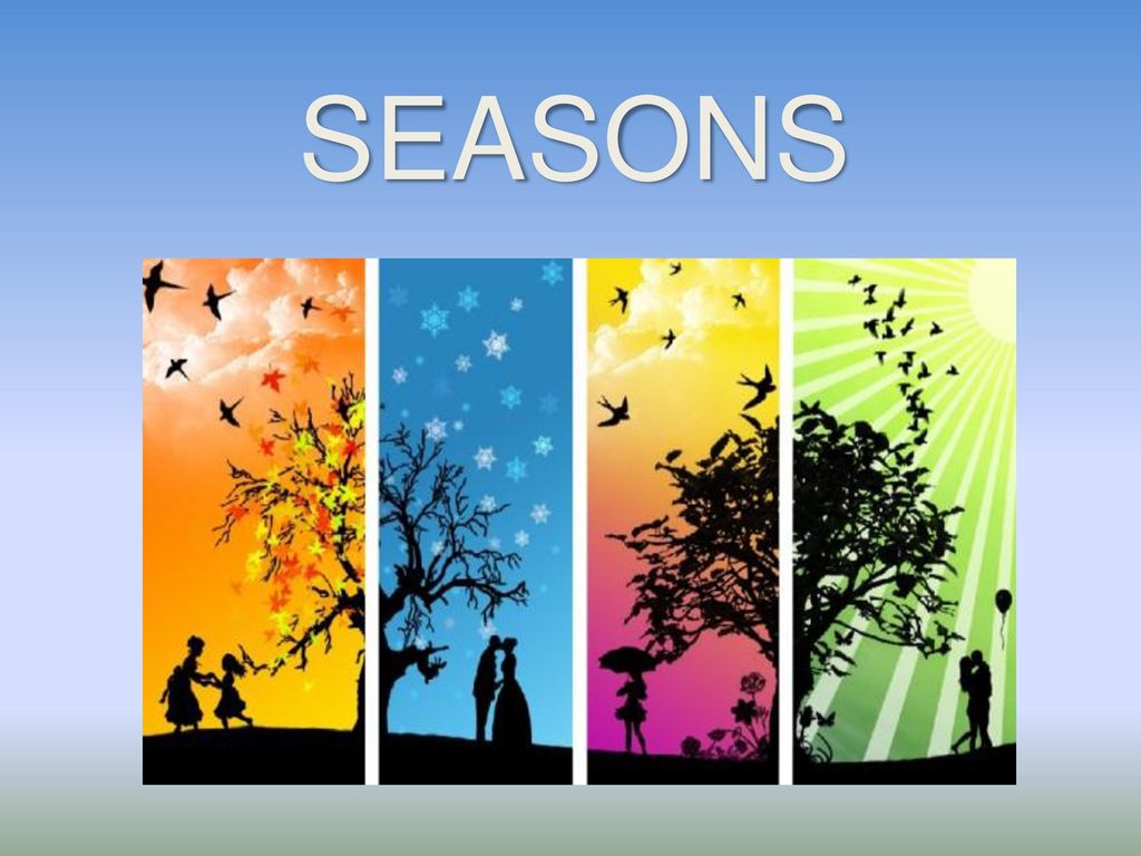 Группа листья времени. Seasons презентация. Урок на тему Seasons. Seasons открытый урок. Тема времена года.