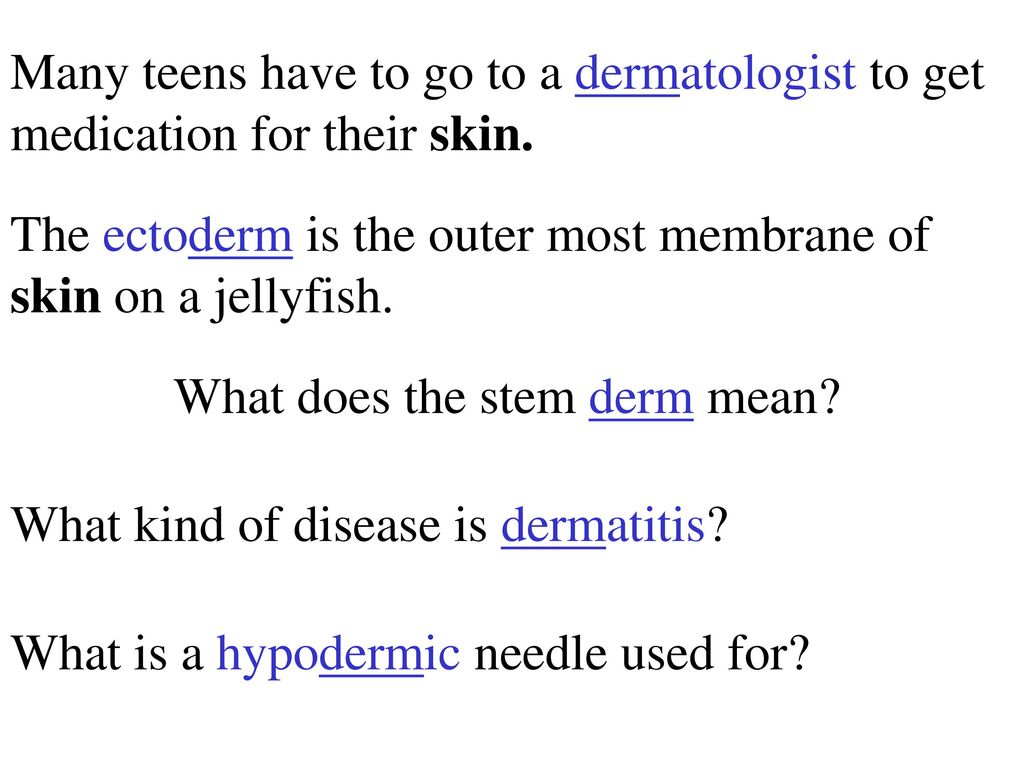 What Does The Stem Derm Mean Ppt Download what-does-the-stem-derm-mean-ppt-download