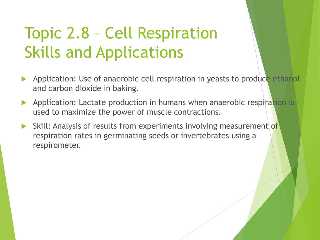 Topic 2 8 cell respiration understandings ppt download