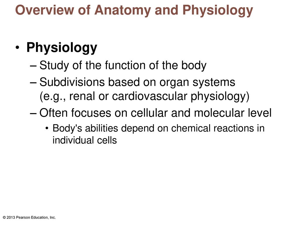 1 The Human Body: An Orientation: Part A. Biology Diagrams