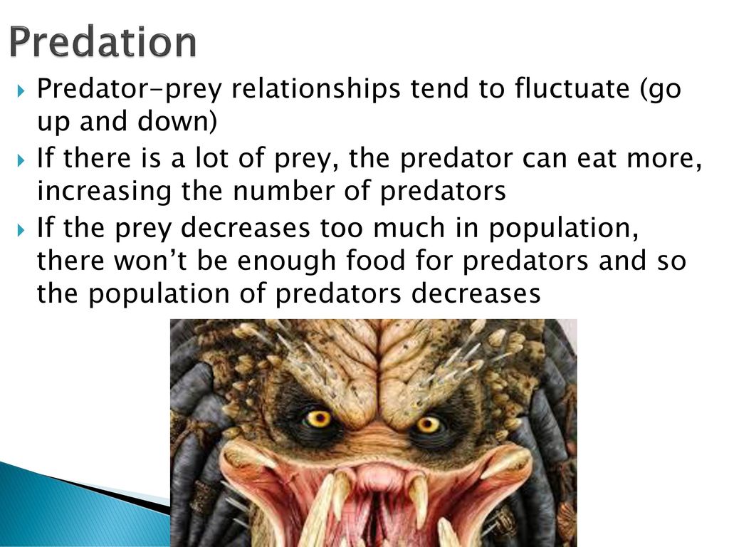 Dependent Limiting Factors Biology Diagrams