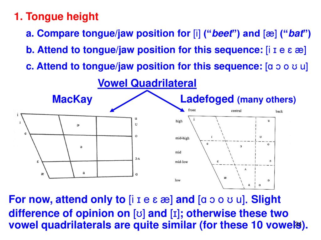 Bottom Line Vowels Are Open Ish Consonants Are Closed Ish Ppt Download