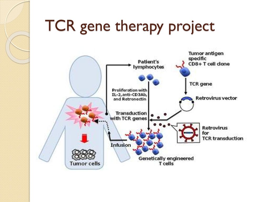 TCR gene therapy project