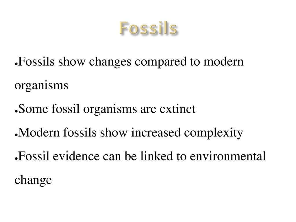 The theory of natural selection and the survival of the fittest ppt