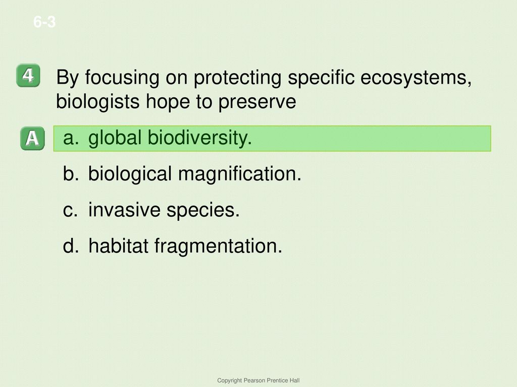 BIODIVERSITY. - ppt download