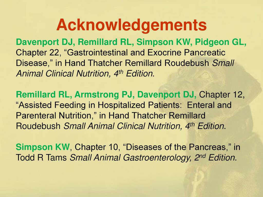 Pancreatitis in Dogs and Cats - ppt download