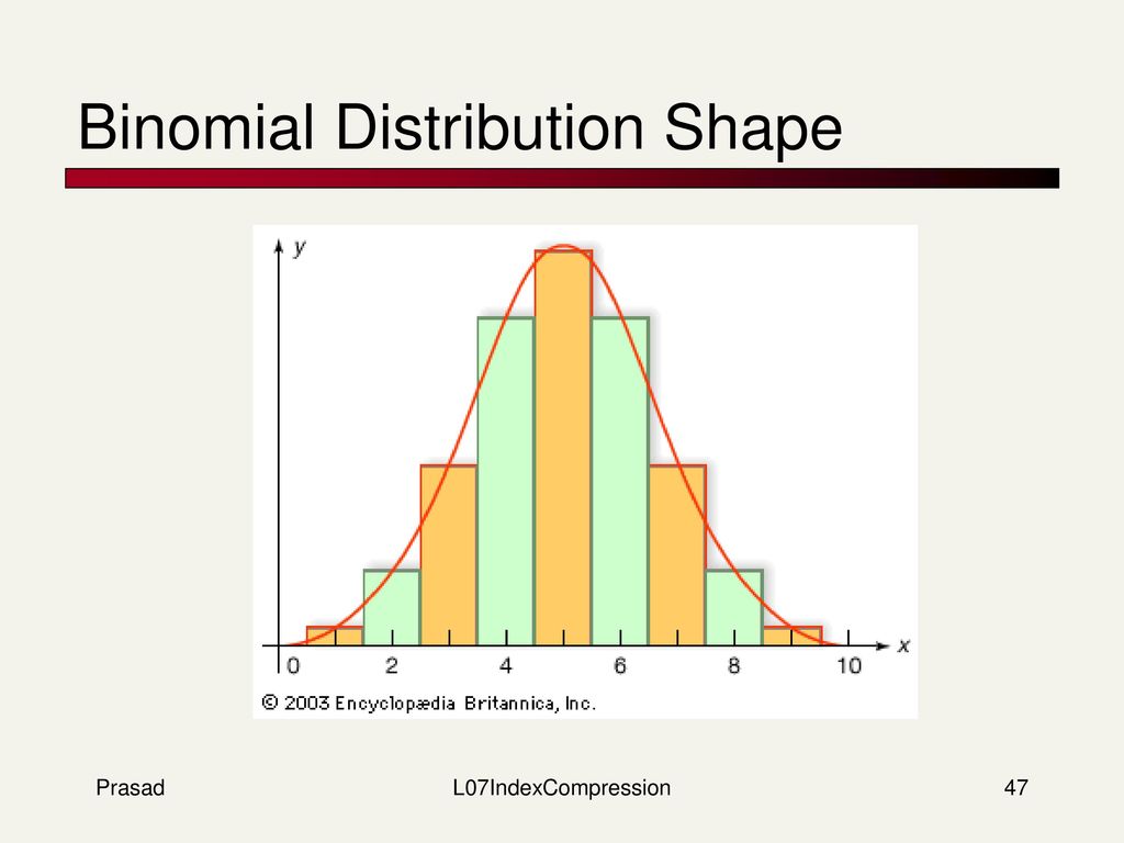 Binomial Distribution Shape