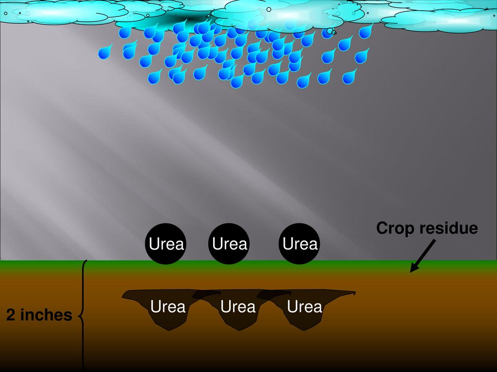 Crop residue Urea Urea Urea 2 inches