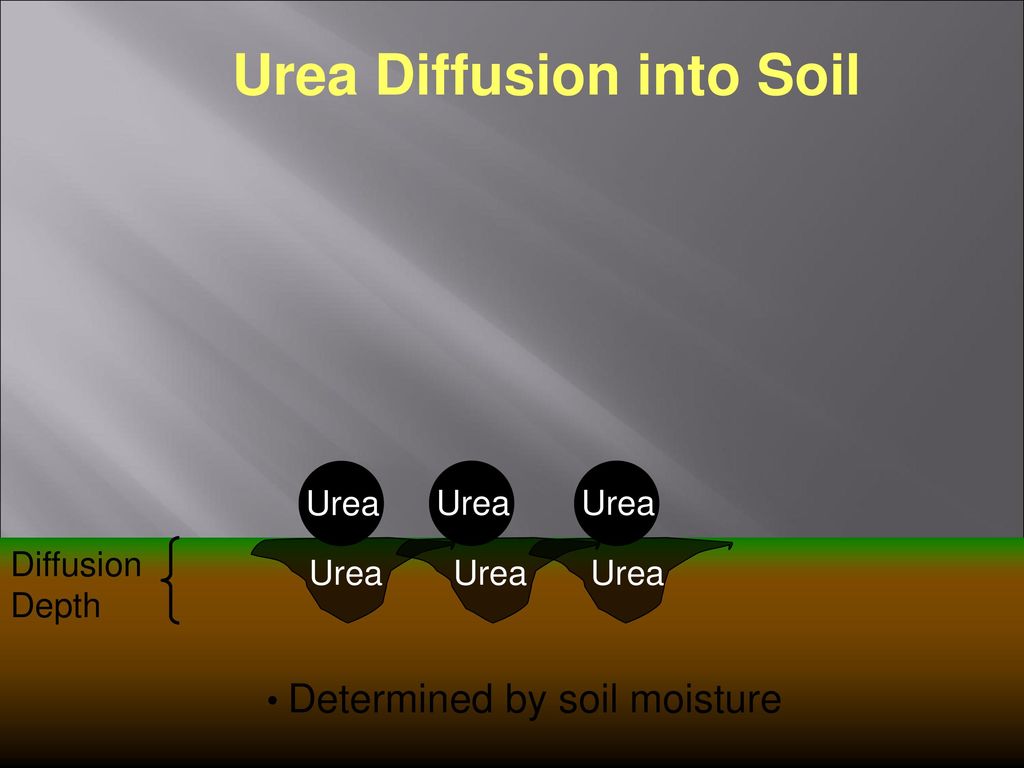 Urea Diffusion into Soil