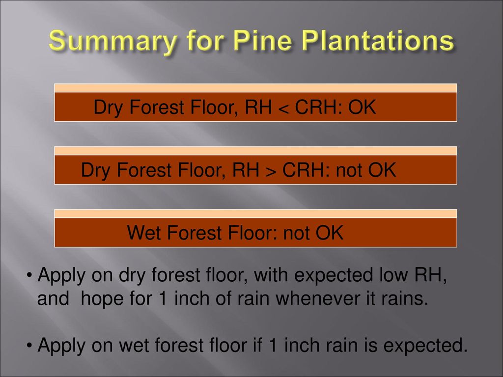 Summary for Pine Plantations