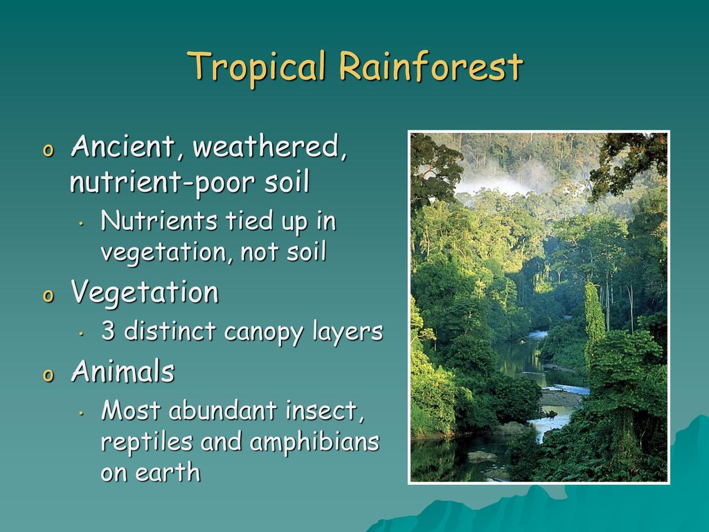 Chapter 6 Major Ecosystems of the World - ppt download