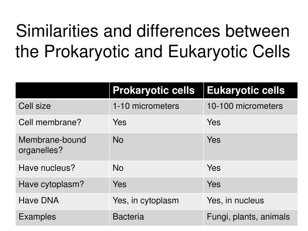 Cell Structure And Function. - ppt download