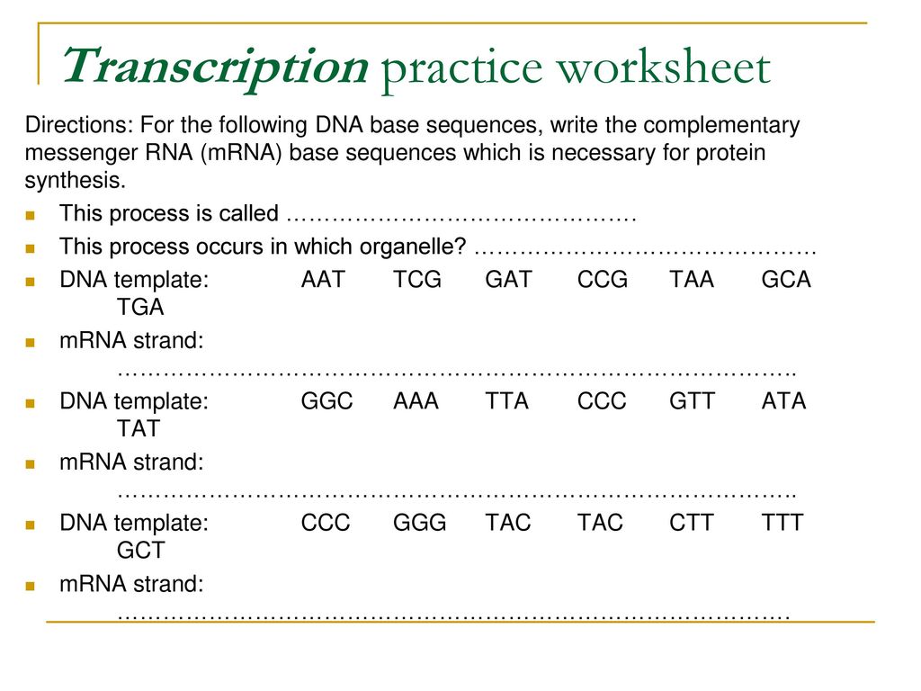 24/2424/246 Aim: We can determine how DNA controls trait expression With Regard To Transcription And Translation Practice Worksheet