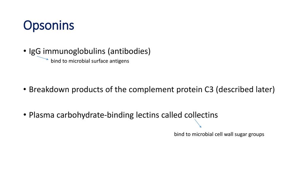 Inflammation (2 of 5) Ali Al Khader, M.D. Faculty of Medicine - ppt ...