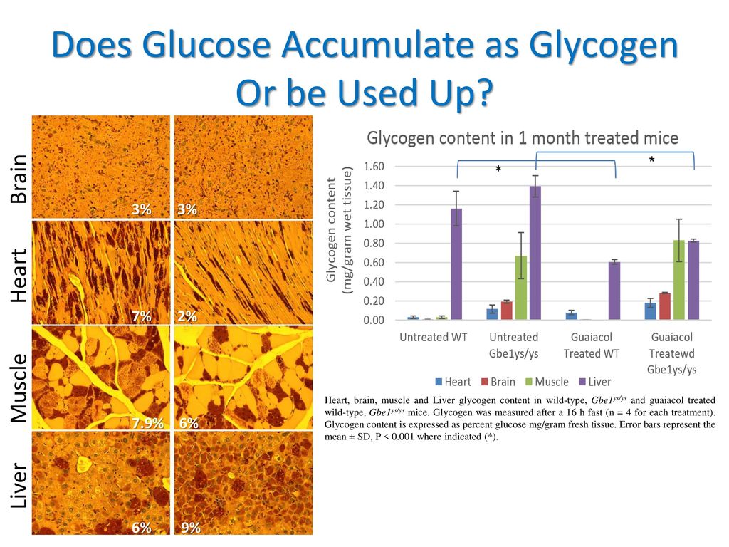 Does Glucose Accumulate as Glycogen Or be Used Up