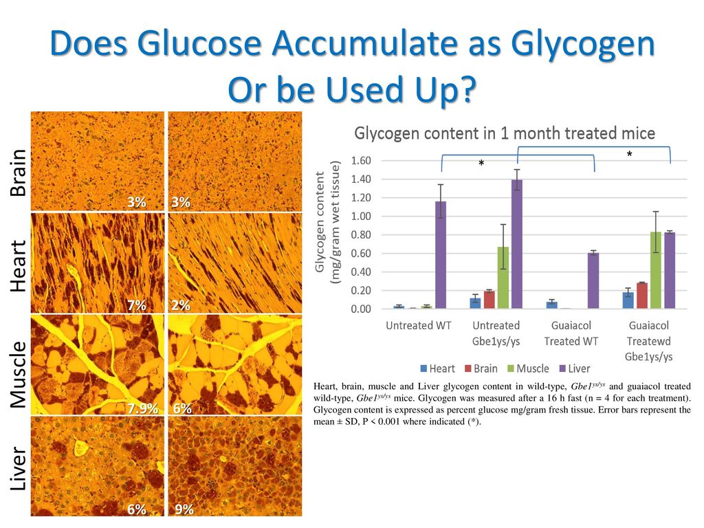 Guaiacol Treatment Decreases Resting Glycogen Synthase Activity and ...