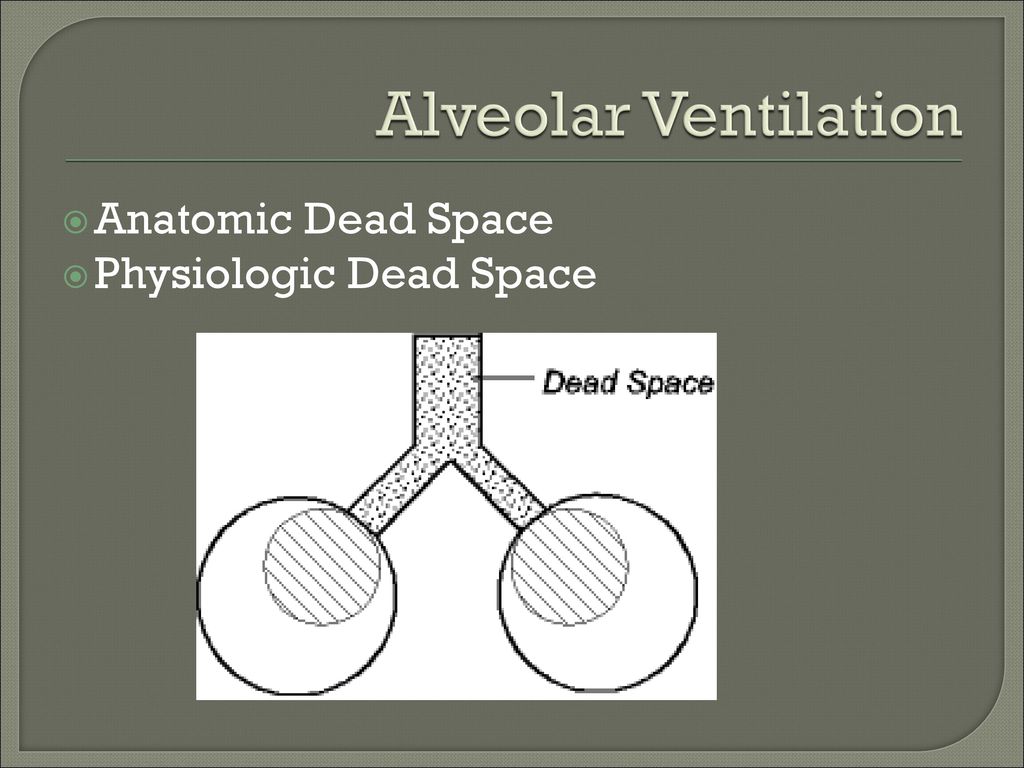 Anatomic and physiologic dead space: Video & Anatomy