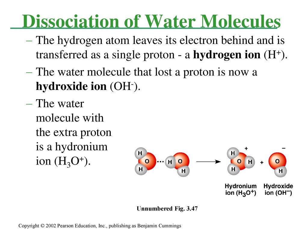 Water. - ppt download