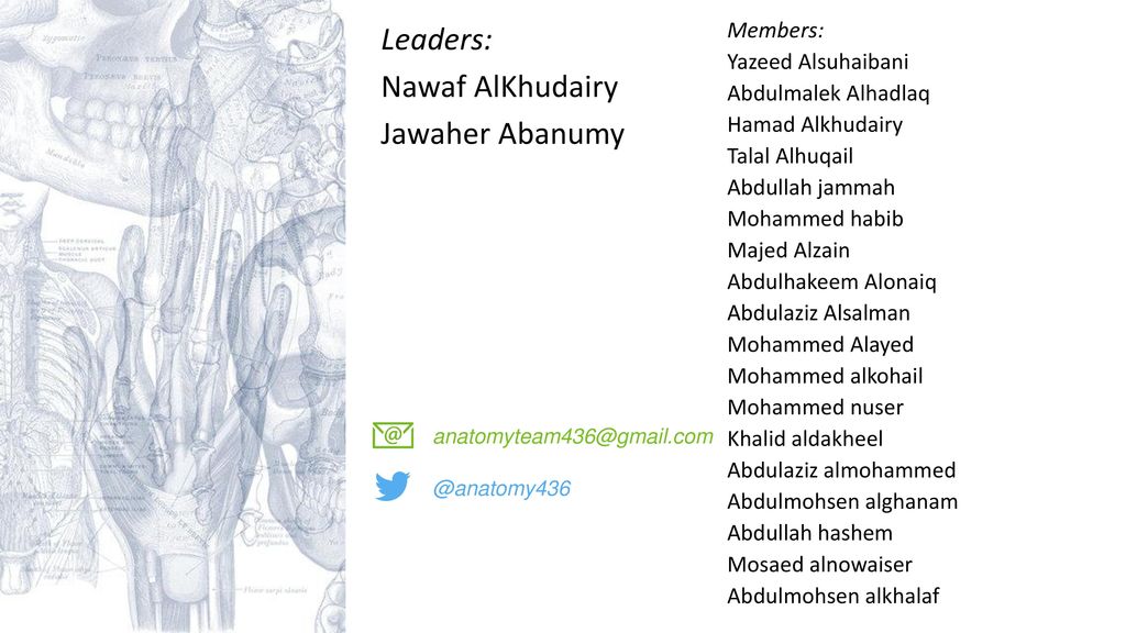 Leaders: Nawaf AlKhudairy Jawaher Abanumy