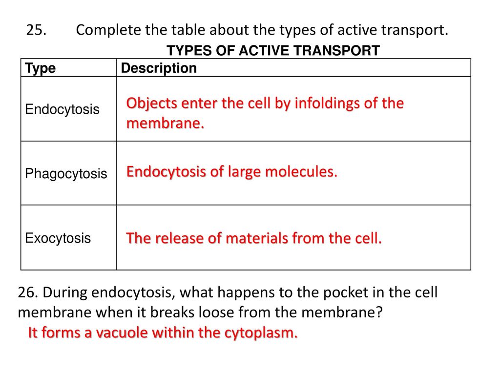 Section 22-22 Cell Boundaries (pages ) - ppt download For 7 3 Cell Transport Worksheet Answers%