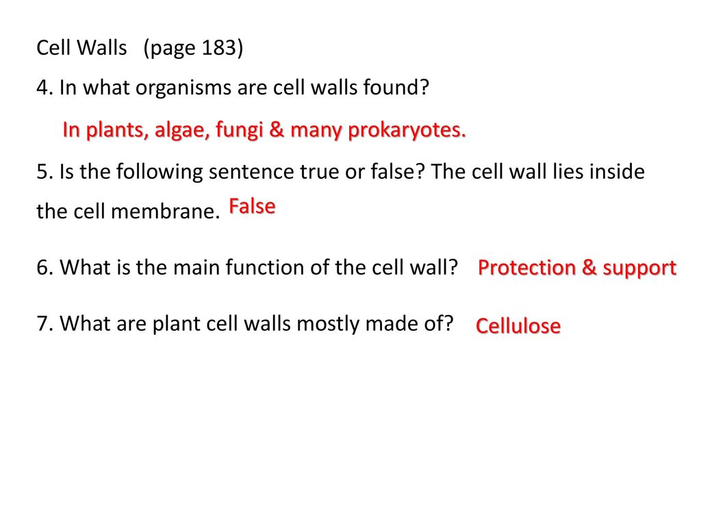 Section 22-22 Cell Boundaries (pages ) - ppt download Inside 7 3 Cell Transport Worksheet Answers%