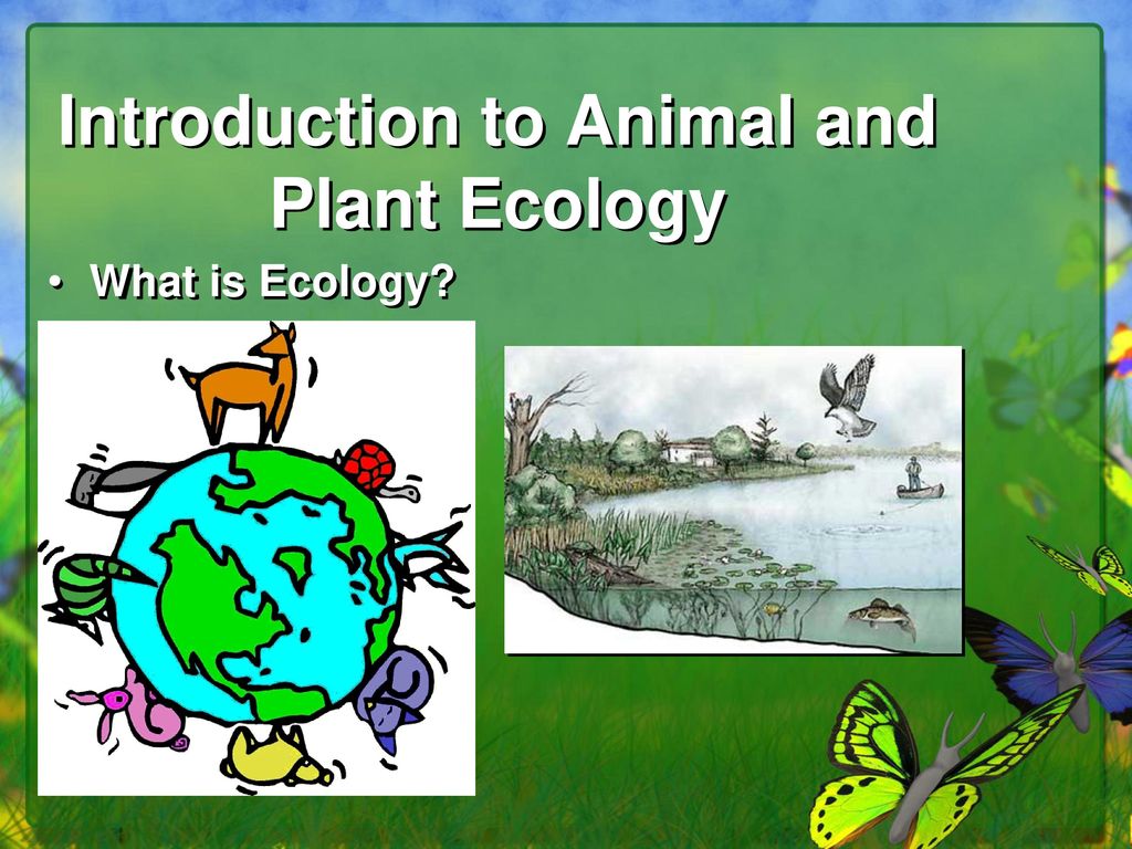 Subject. Animal and Plant Ecology - ppt download