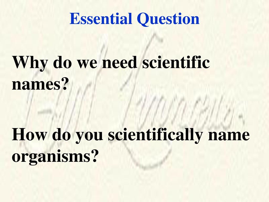 Why do we need scientific names