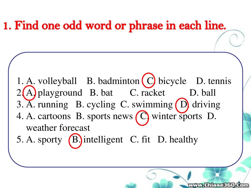 d and b sports d and b sports