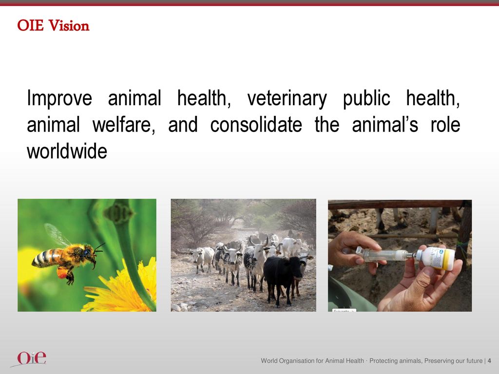World Organization for animal health (OIE) general overview - ppt download