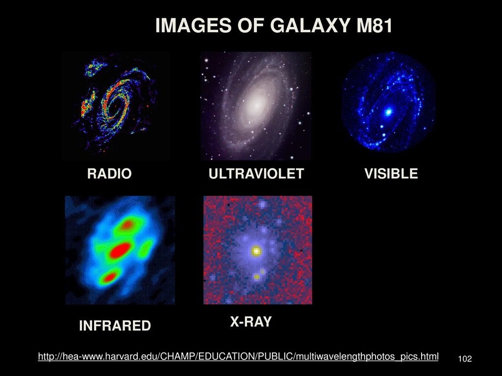 IMAGES OF GALAXY M81 RADIO ULTRAVIOLET VISIBLE X-RAY INFRARED
