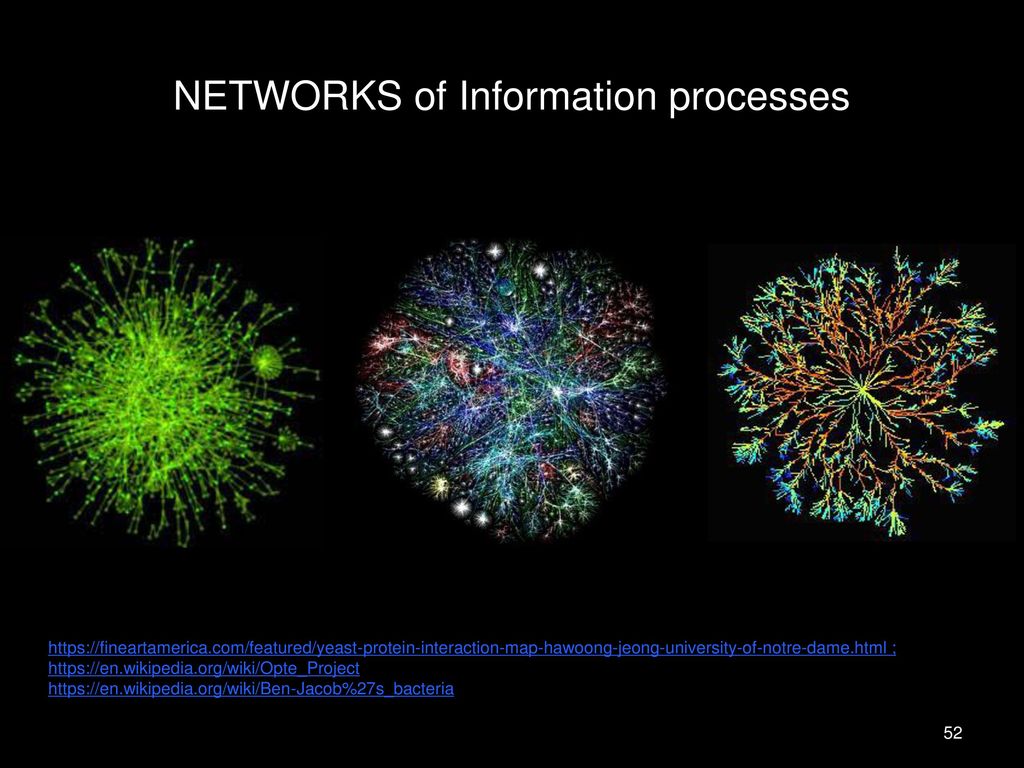 NETWORKS of Information processes
