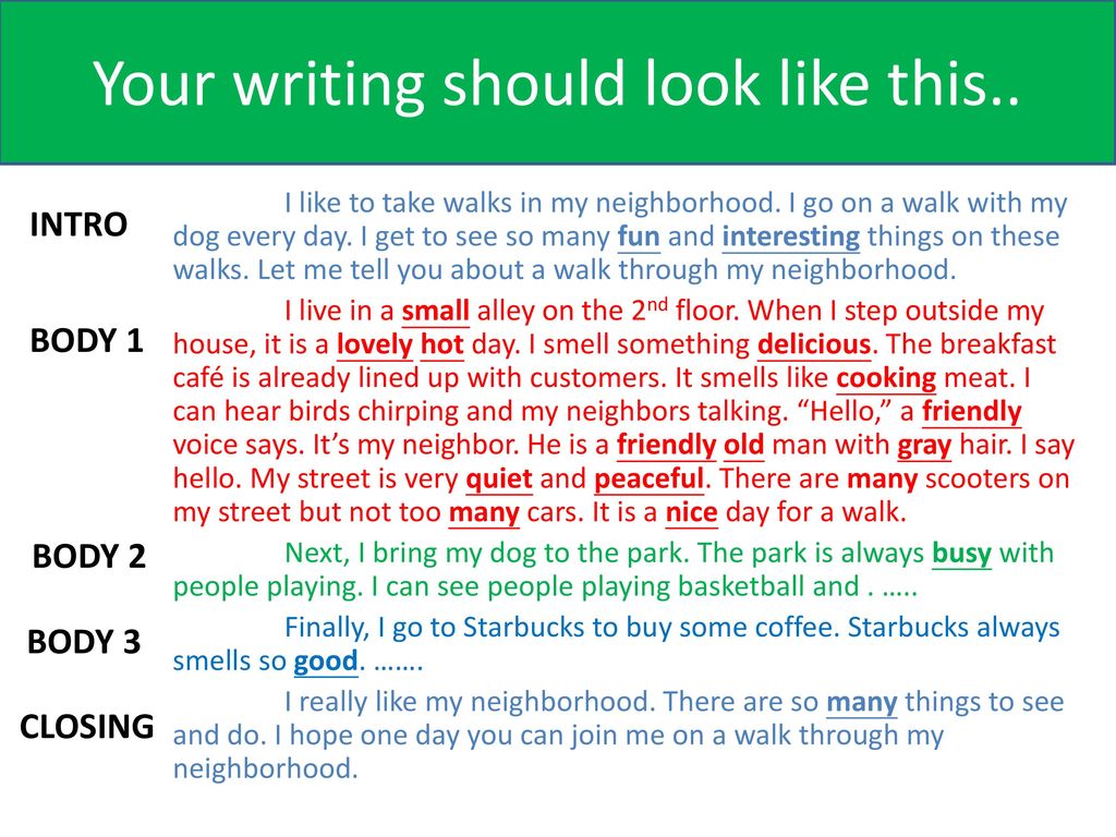 neighborhood essay