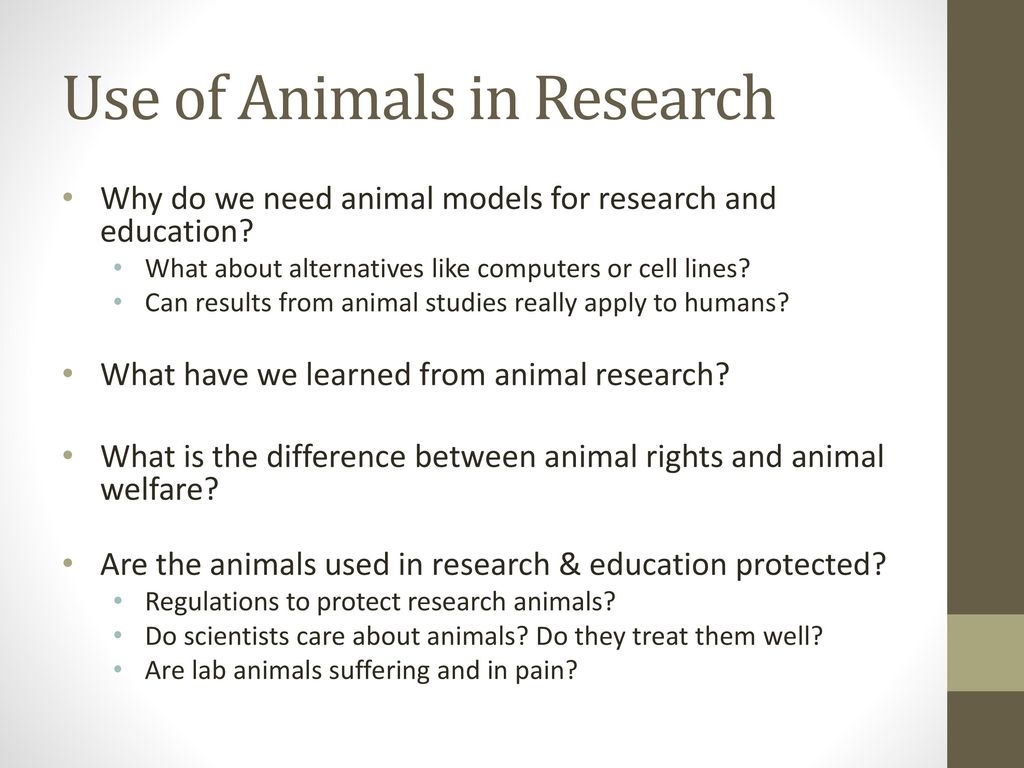 Responsible Conduct of Research: Use of Animals in Research - ppt download