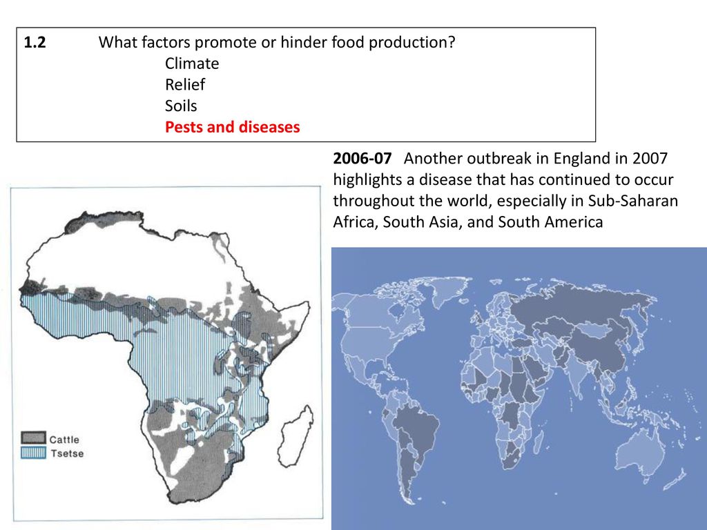 Theme 1 Sustainable food supply ppt download
