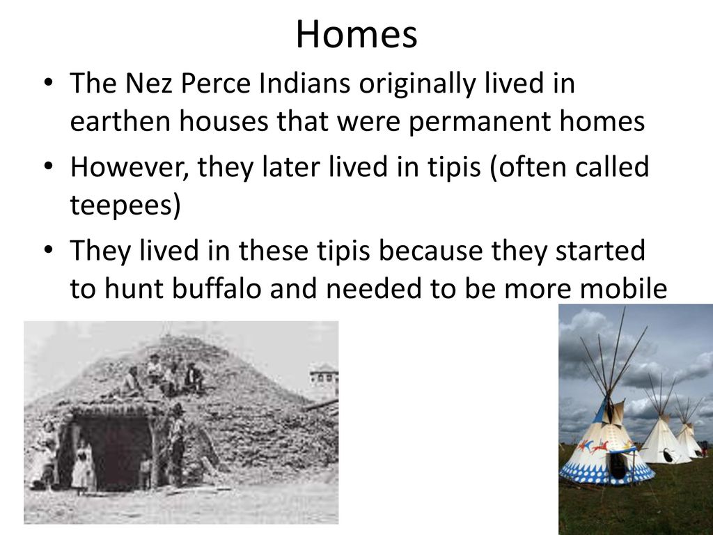 Homes The Nez Perce Indians originally lived in earthen houses that were permanent homes. However, they later lived in tipis (often called teepees)