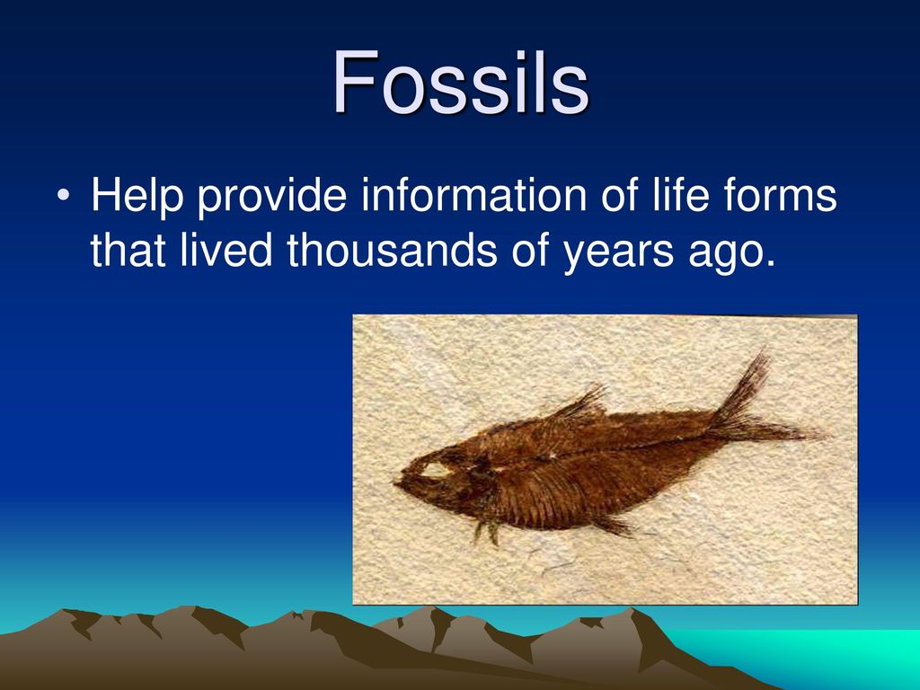 Fossils Help provide information of life forms that lived thousands of years ago.