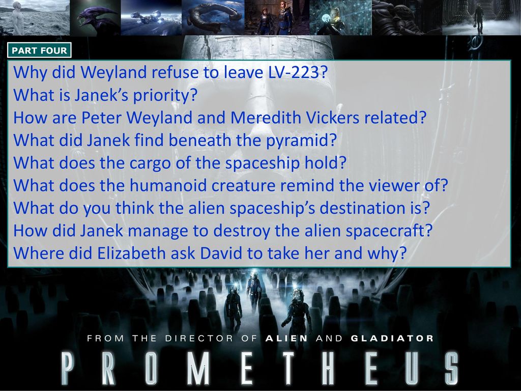 What Did Elizabeth Find In The Cave In Scotland In The Year