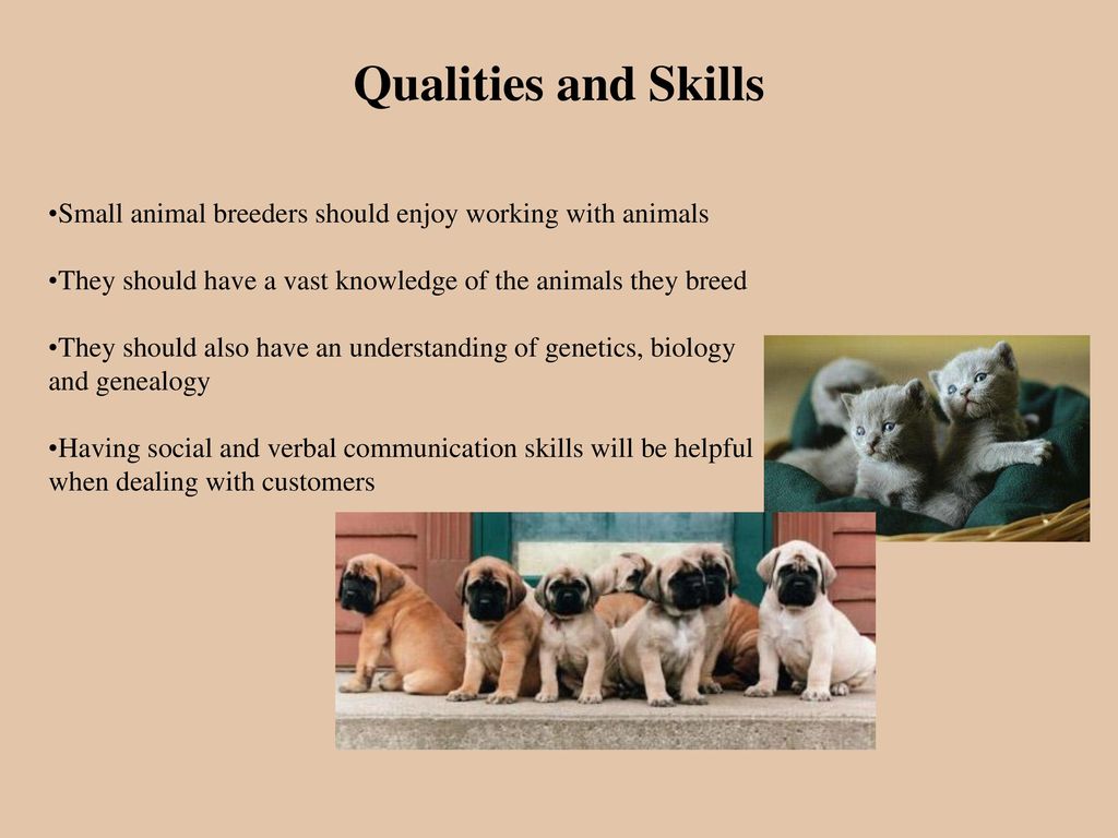 Small Animal Breeder Agricultural Careers - ppt download