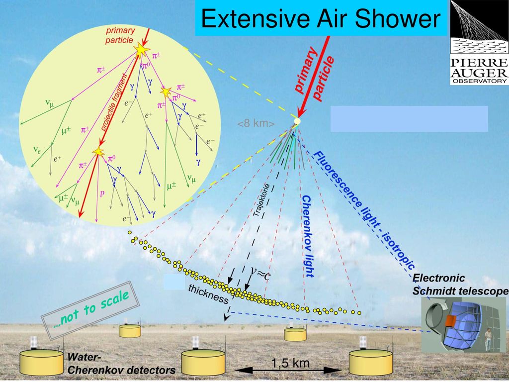 Extensive Air Shower <8 km> …not to scale