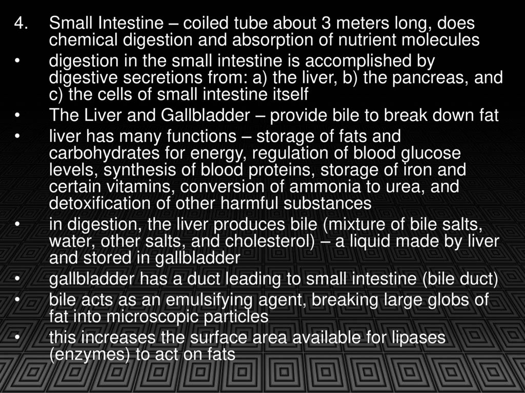 Digestive System Role of the digestive system ingest food ppt download
