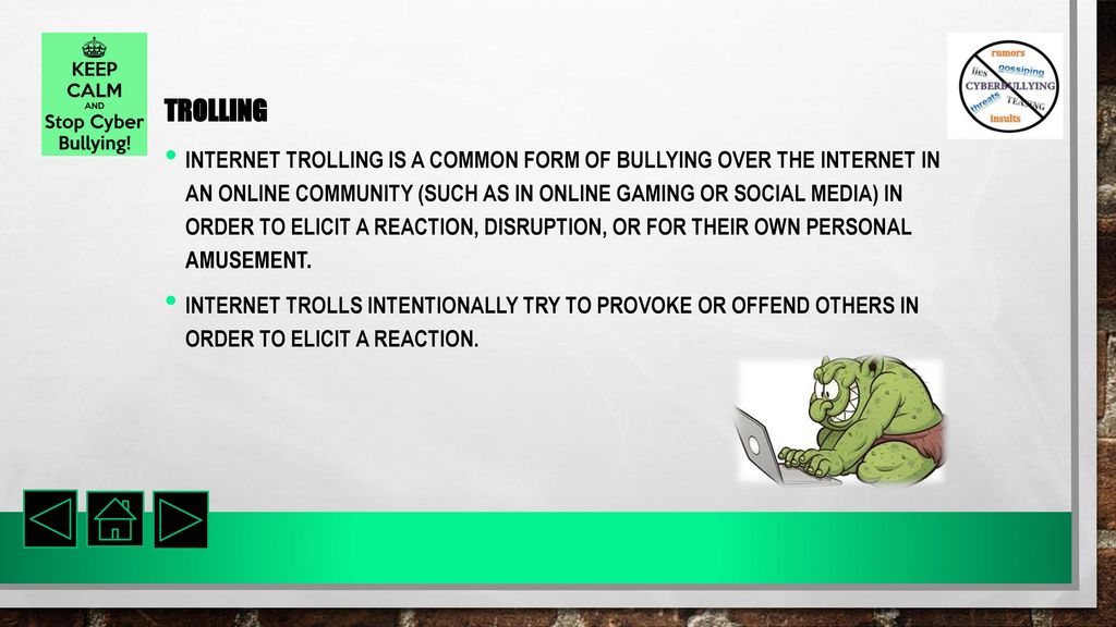 Trolls on social media seminar ppt