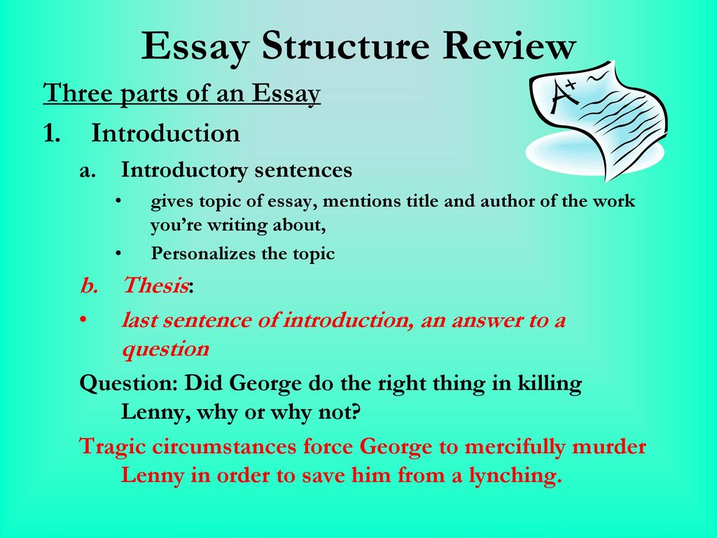 structure of a review essay